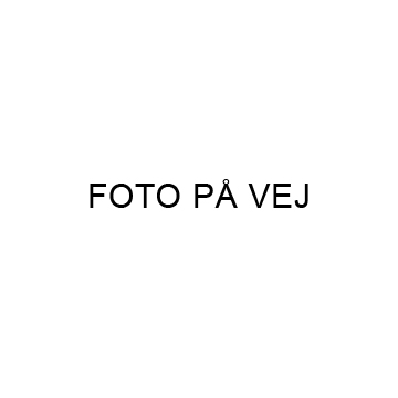 Fanø - Vester Land 40